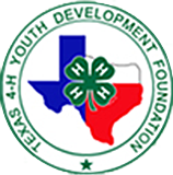 4H logo