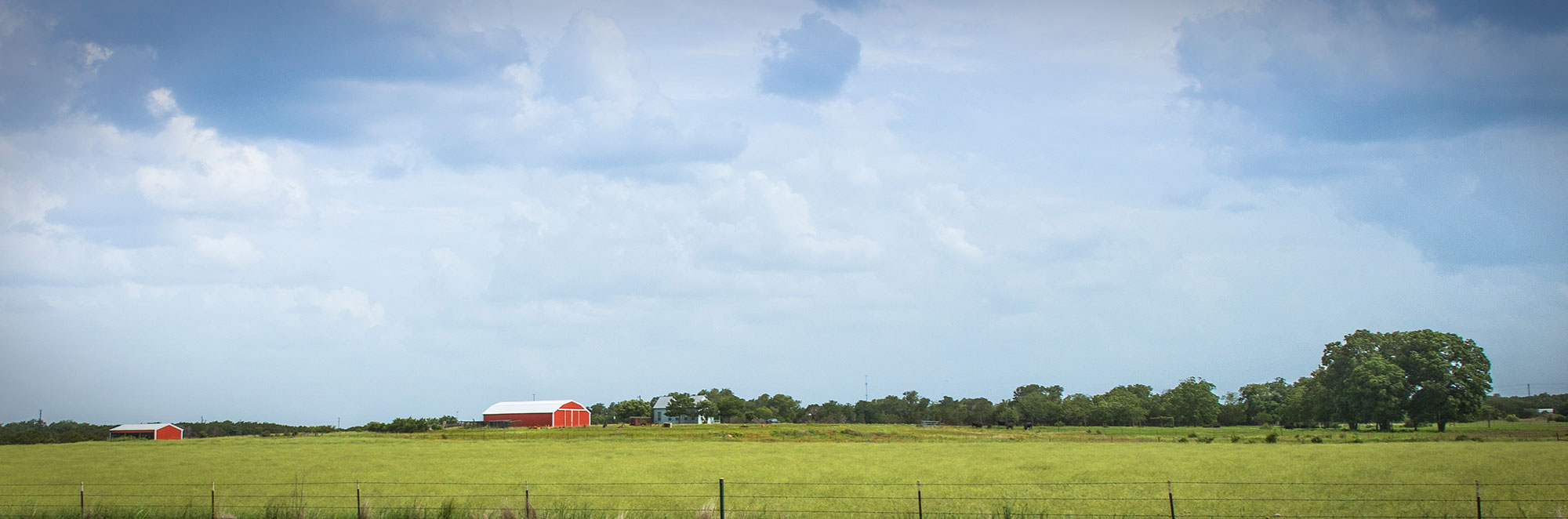 Texas summer crop